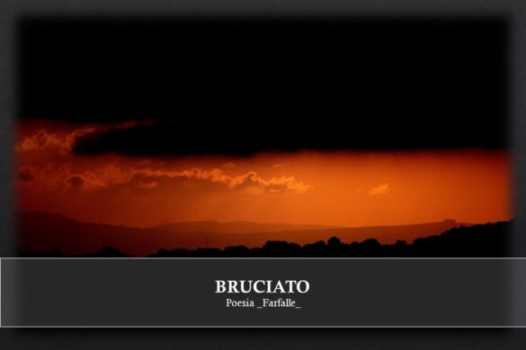 Bruciato Farfalle Pht Emanuela Gizzi Mapping Lucia
