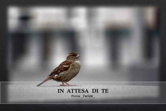 In attesa di te Farfalle Pht Emanuela Gizzi Mapping Lucia