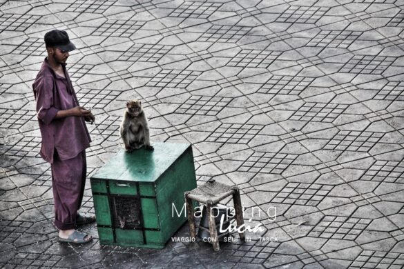 Scimmia incatenata a Piazza Jamaa el Fna Pht Emanuela Gizzi Mapping Lucia