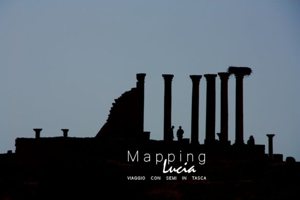 Sito Archeologico di Volubilis Pht Emanuela Gizzi Mapping Lucia