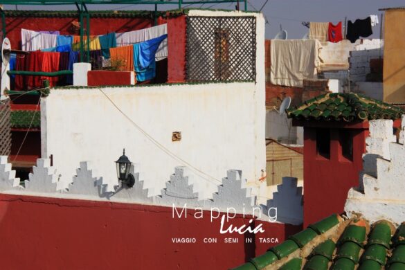 Sui tetti di Meknès Pht Emanuela Gizzi Mapping Lucia