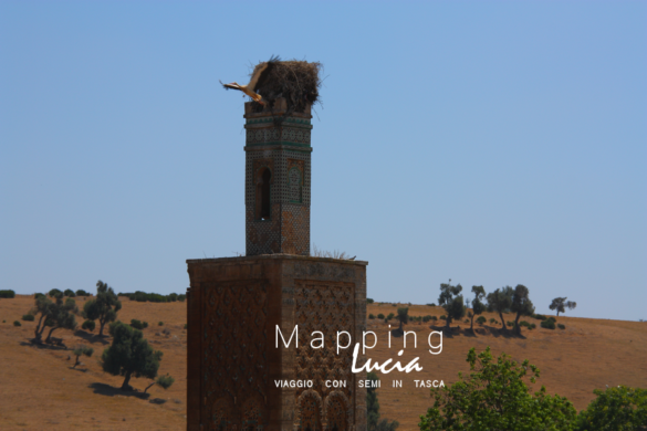 Chellah un minareto Pht Emanuela Gizzi Mapping Lucia (13)