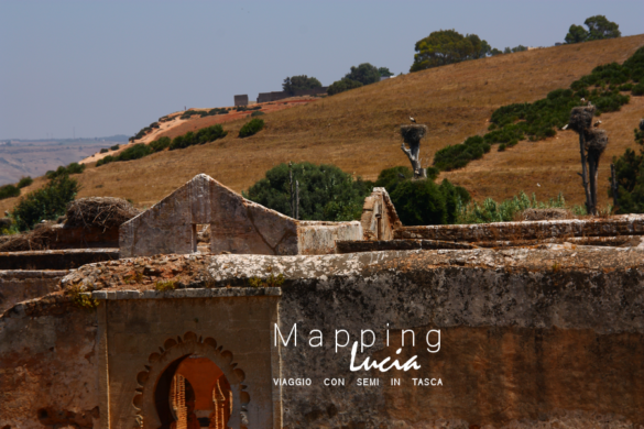 Chellah paesaggio Pht Emanuela Gizzi Mapping Lucia (14)