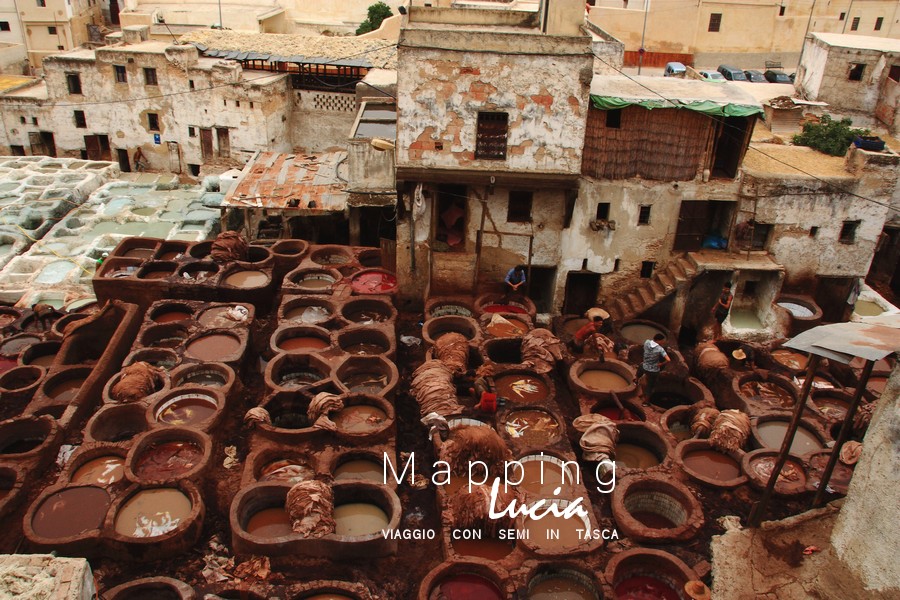 Foto-Racconto-del-Marocco-Concerie di Fés Le vasche della conceria Pht Emanuela Gizzi Mapping Lucia