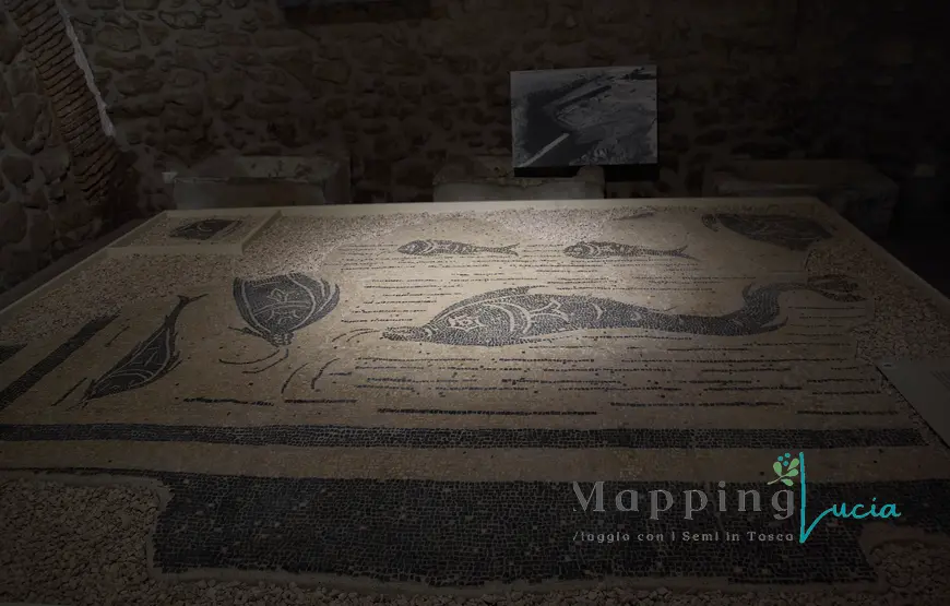 museo-del-pellegrino-di-campagnano-mosaico-della-mansio-di-baccano-raffigurante-delfini-onde