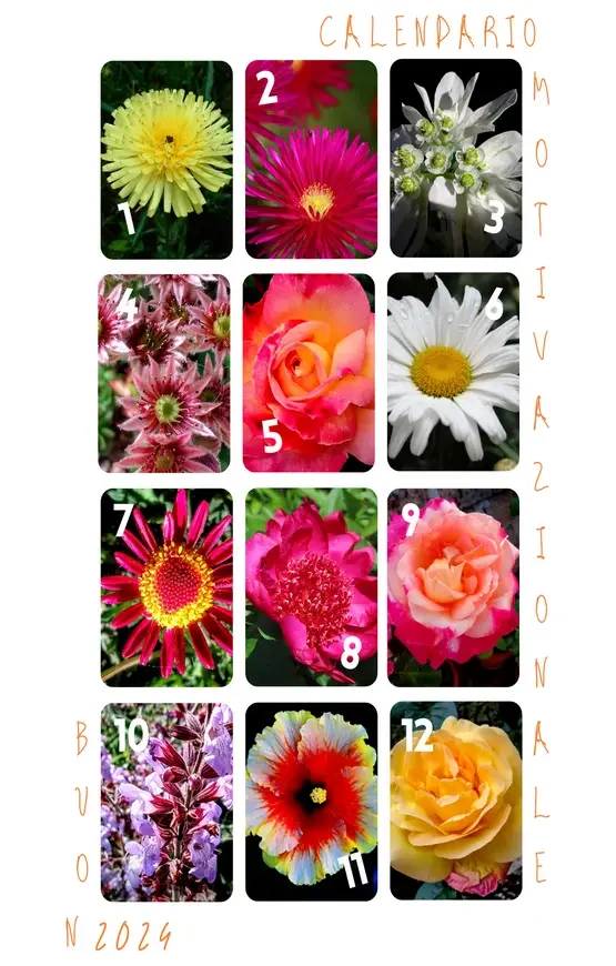 copertina-del-calendario-motivazionale-2024-con-foto-di-fiori